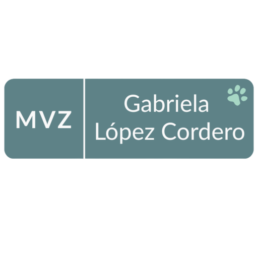 Médica Veterinaria Zootecnista Gabriela López Cordero - Ir al Inicio